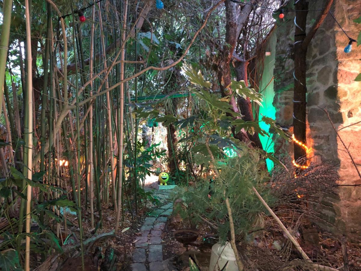 L'Ile-d'OlonneL Atypique住宿加早餐旅馆 外观 照片